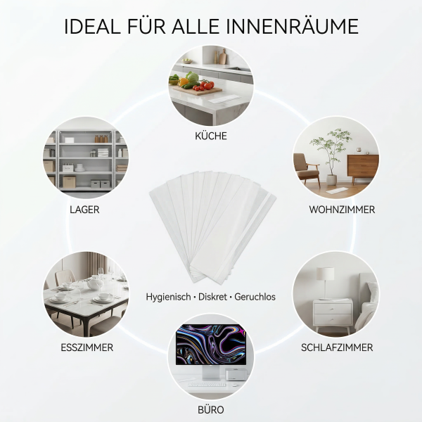 Fruchtfliegenfalle Fliegen Klebefallen – Effektive Fliegenfalle Klebestreifen Innenbereich für Küche, Wohnzimmer und Büro – Stubenfliegen, Schmeißfliegen und Obstfliegen fangen – 12 Stück